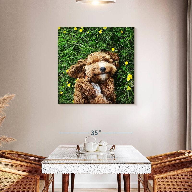 Crowle Happy Cockapoo Dog, 36" H x 36" W
