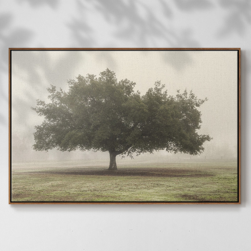 Arbres dans le brouillard II, Toile avec cadre noyer, H 27 po x l 41 po x P 2 po