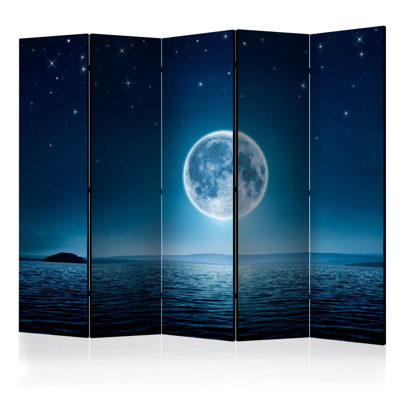 Haniel 225 cm W x 172 cm H 5 - Panel Solid Wood Folding Room Divider