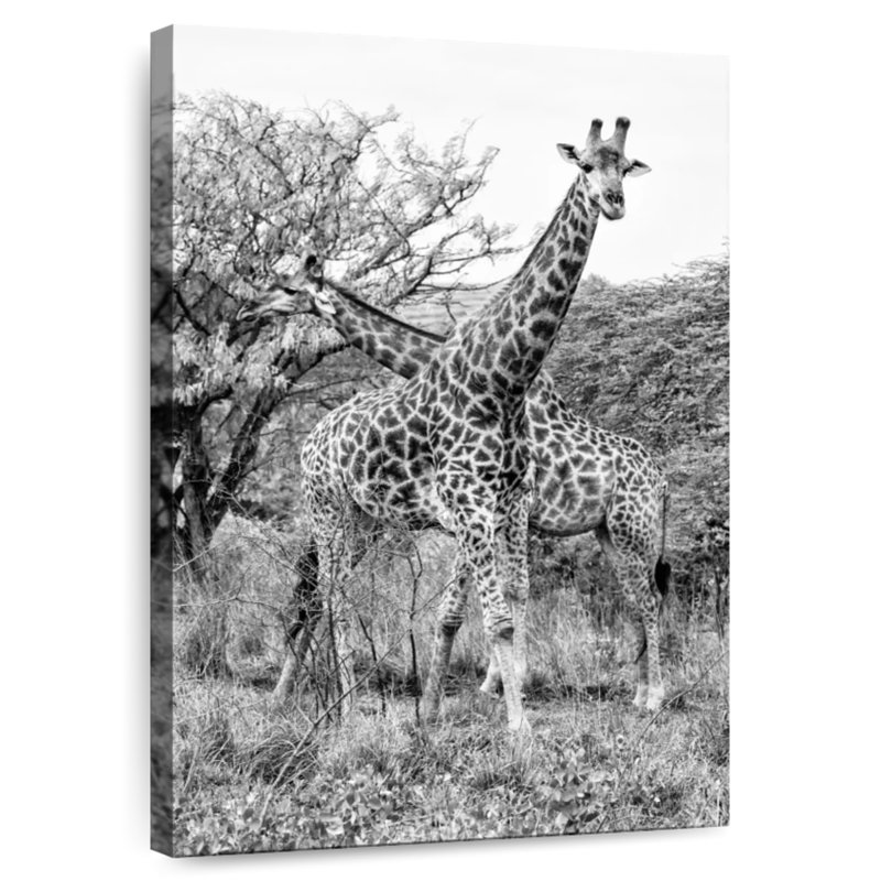 Brampt Giraffe Mother And Young I, 12" H x 8" W