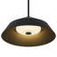 Modern Minimalist 14-inch Integrated Led Black Wrought Iron Pendant Light Home Lighting Fixture