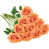 Orange clair