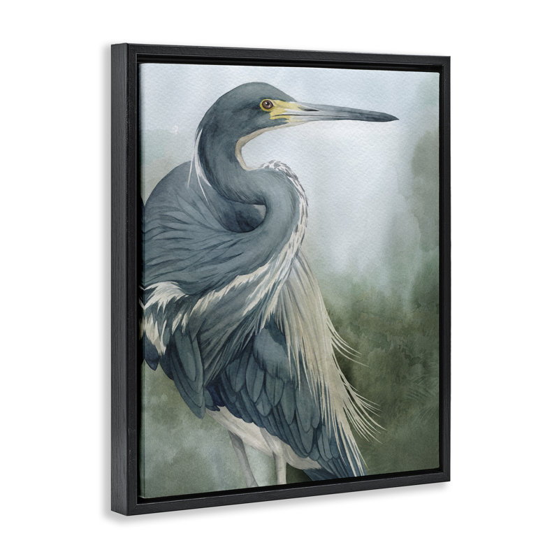 Cadre flottant Bayou King Bird, design par Grace Popp, Cadre flottant noir de jais, H 21 po x l 17 po