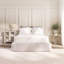 Pure Jay-Be Pocket Sprung Mattress-130151563