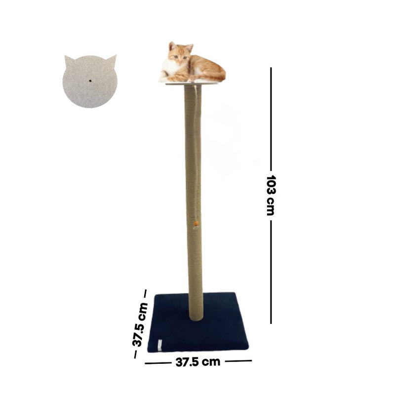 Grattoir pour chat, Noir