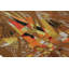 One-of-a-Kind 3'10x4'10 Hand Knotted Area Rug