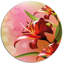 Magnifique fleur de vecteurs - impression-173148264-173148249