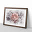 Pink Tipped Rose Flower - Framed Print-56892156-56892163