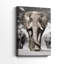 Patriarche du Botswana - Cavas enveloppés de galerie-2070416840