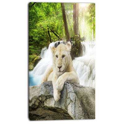 « white lion », impression sur toile
