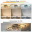 Elora 76cm LED Dimmable Reversible Flush Mount Ceiling Fan with Lights and Remote-1085401191