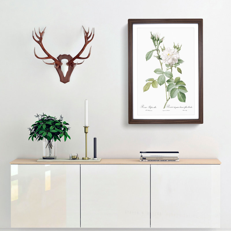 Autumn Damask Rose by Pierre-Joseph Redoute - Single Picture Frame Painting, 33cm H x 24cm W x 2cm D, Walnut Framed