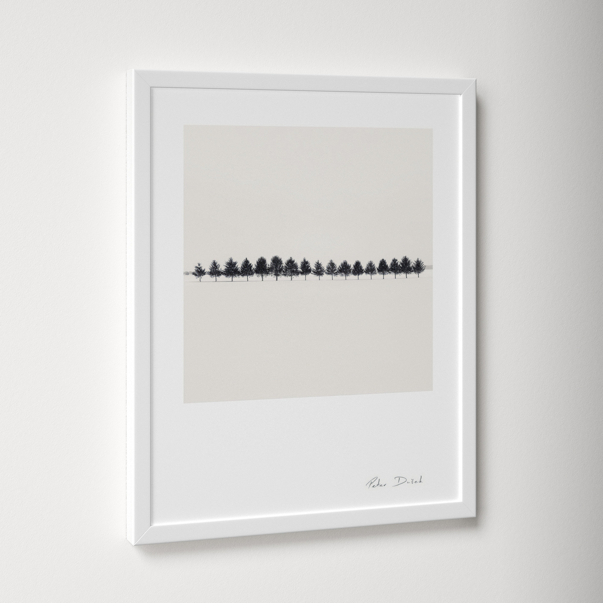 Seventeen Trees by Peter Dušek, White, 20" H x 16" W x 1.25" D