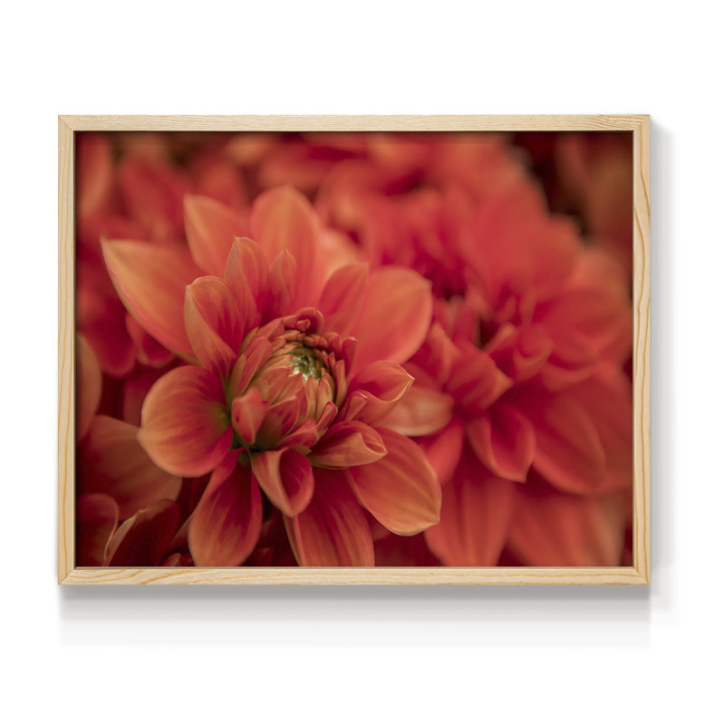 Spring Fire -Framed Print - Restickable, Natural, 11" H x 14" W
