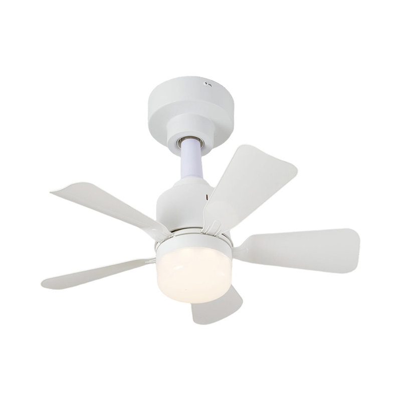 Ceiling Fan
