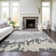  Chayden Area Rug with Non-Slip Backing