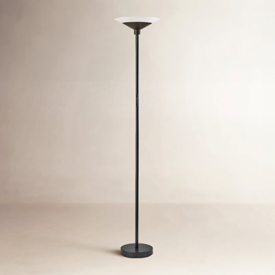 Asberry 71'' LED Floor Lamp