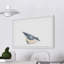 NUTHATCH Bird II par Thimble Sparrow-reproduction d’art sur papier encadrée-1525483835