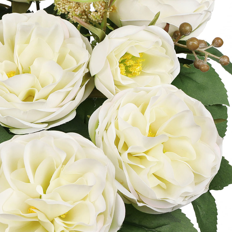 Chou rose, Blanc crème