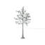 150cm Plant