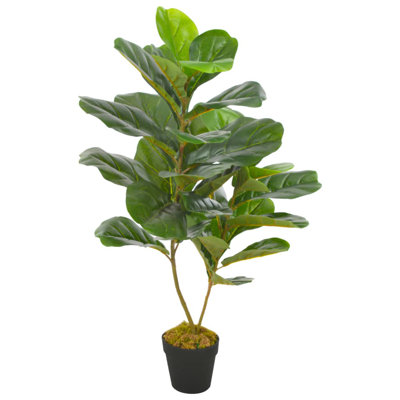 Faux Fiddle Plant in Pot