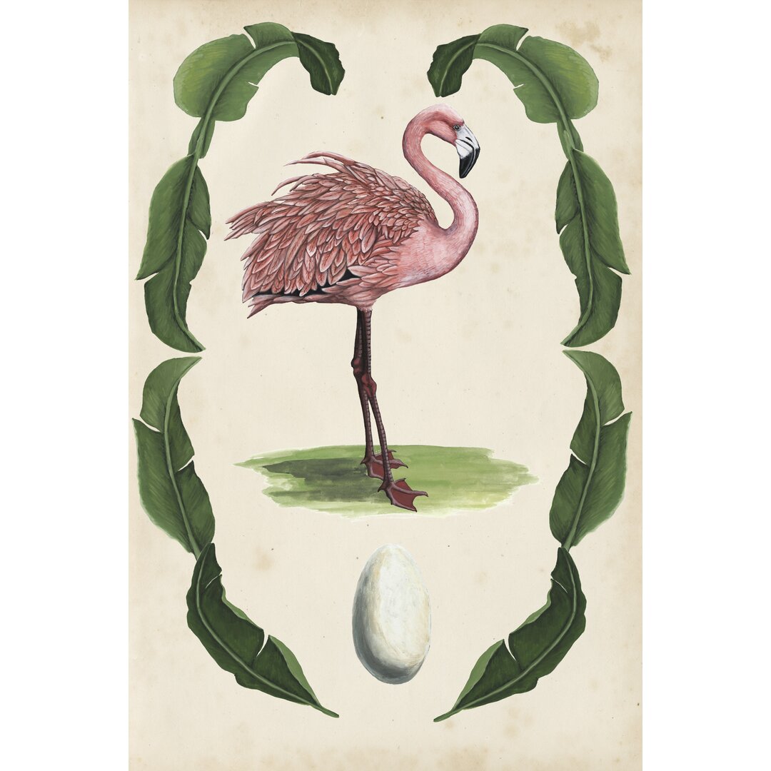 Leinwandbild Antiquarian Menagerie Flamingo I von Naomi McCavitt