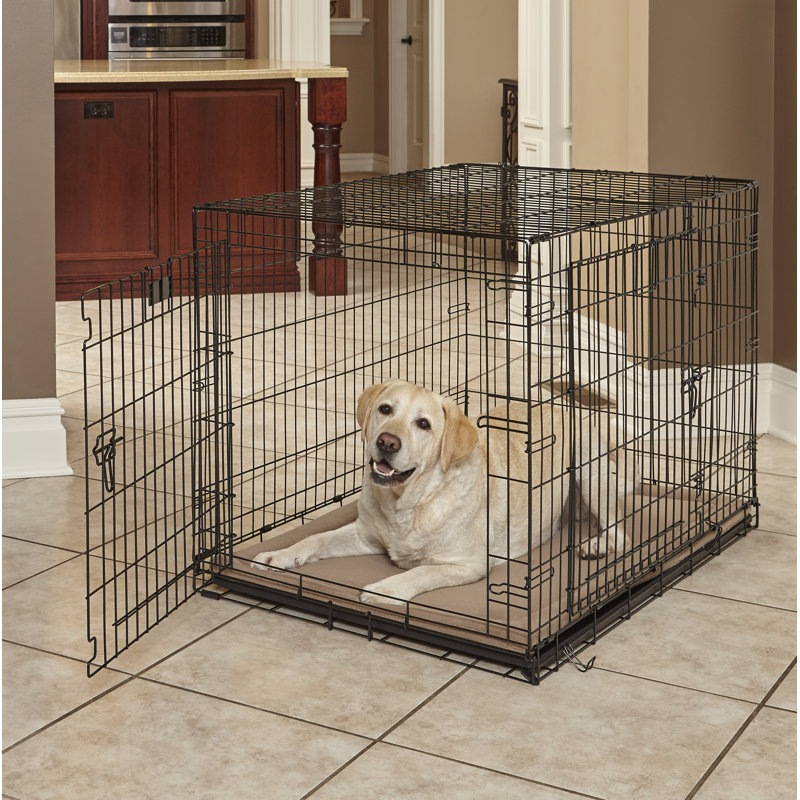 Lit pour animal de compagnie en micro-éponge de luxe Quiet Time, Grand (l 40 po x P 27 po x H 2 po)