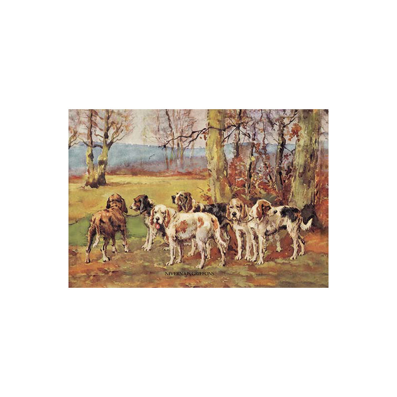 Farmhouse / Country, 28" H x 42" W x 1.5" D