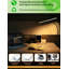 Adeliya Desk Lamp