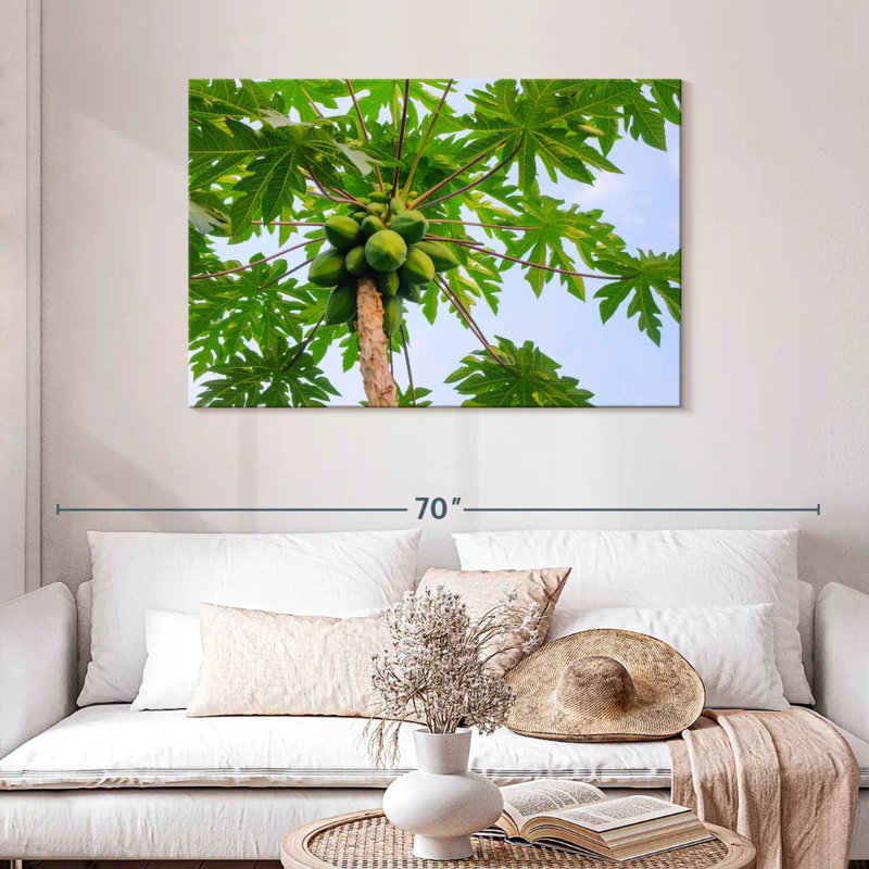 Papaye Harnek, H 30 po x l 45 po