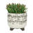 S/2 Ceramic 6/8" Scribble Footed Planter