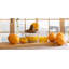 BIDKhome Manual Citrus Juicer