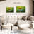 Brampt Snail On Turtle-108875009