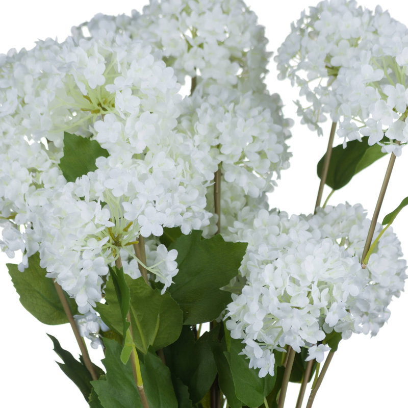 Viburnum Opulus Arrangement
