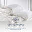 Snuggledown Signature Goose Feather and Down All Seasons 13.5 Tog (4.5 + 9 Togs) Duvet-89053169