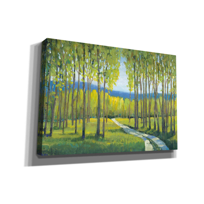 «Morning Stroll I» par Tim O'toole, art mural sur toile, H 18 po x l 26 po x P 0,75 po