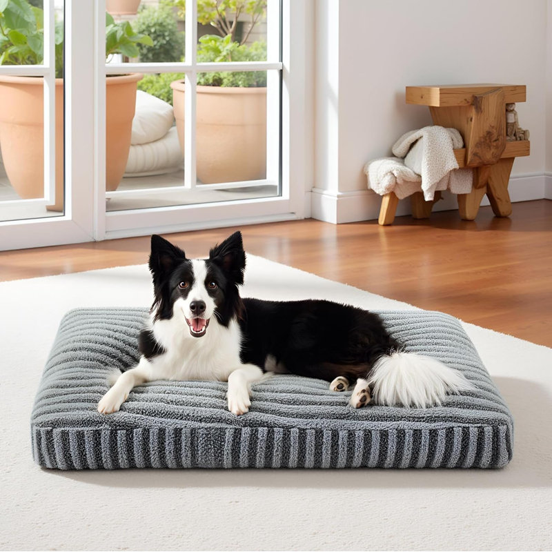 Grand lit pour chien