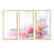 Encadrement doré