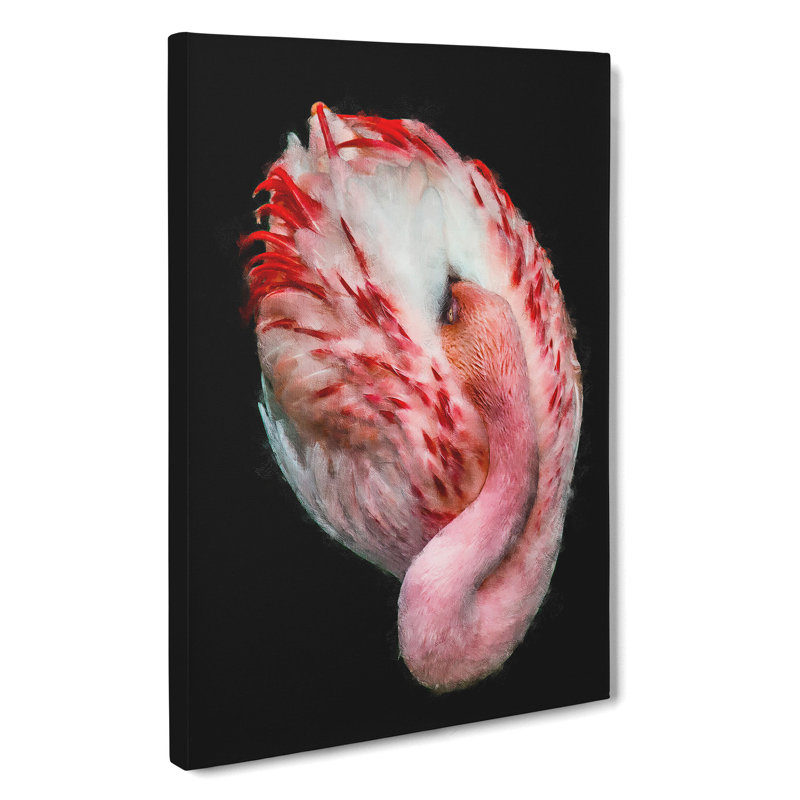 Curled Flamingo - Wrapped Canvas, 60cm H x 40cm W x 3cm D