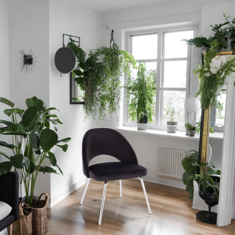 Chaise Dnas, Noir