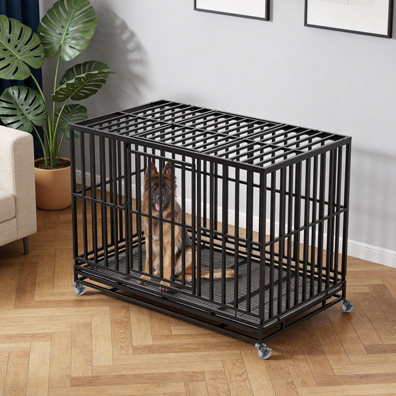 Cage pour chien avec cage à deux portes et serrures pour chien, 49 pouces