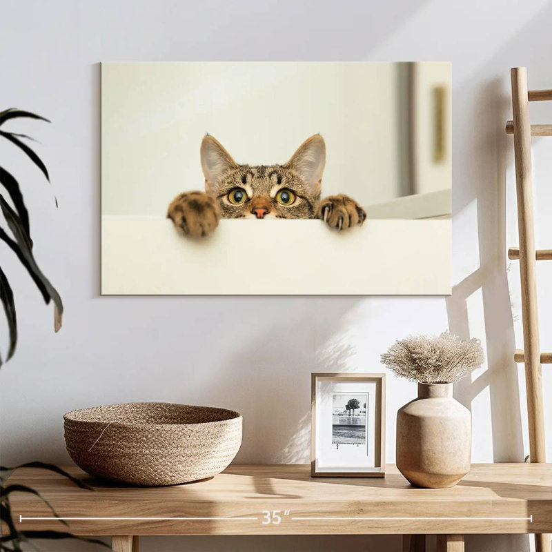 Peeking Young Cat, 16" H x 24" W