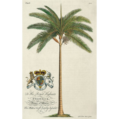 King Palm Print by Porter Design