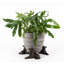 Eilis Weather Resistant Planter Feet