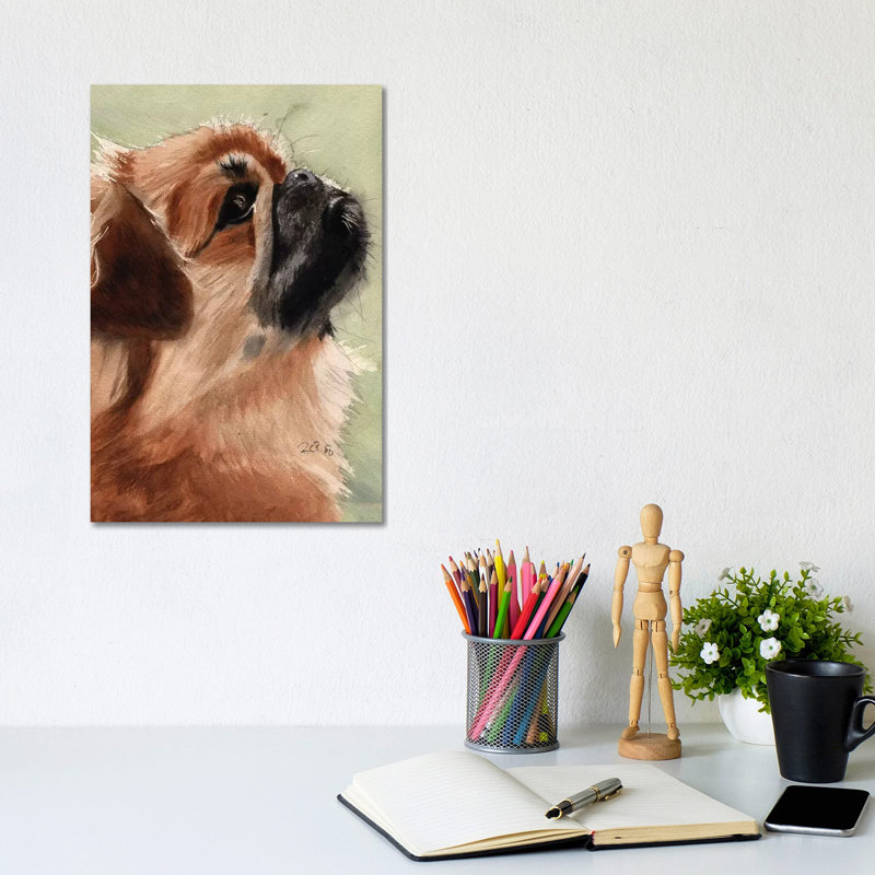Pekingese Portrait by Rachel Parker - Wrapped Canvas Gallery-Wrapped Canvas Giclée, 20.32 cm H x 30.48 cm W
