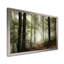 Lumière dans une forêt d'automne dense avec brouillard, œuvre d'art-358135837-304307547-358135833