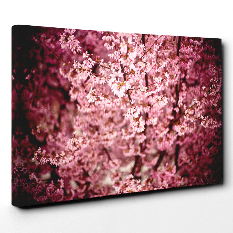 Japanese Cherry Blossom Pink Tree Photographic - Wrapped Canvas, 70cm H x 100cm W