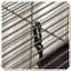 Cage en métal pour petits animaux avec 4 roulettes et plateau amovible-450868786