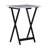 Riceboro Folding Tray Table Set-1047671646