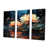 Wrapped Canvas